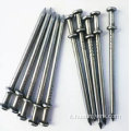 Chiodo duplex zincato